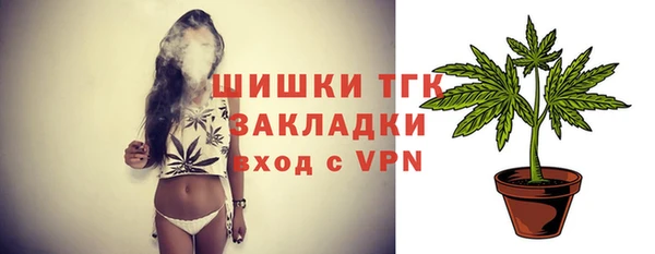 трава Белокуриха