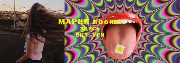 трава Белокуриха
