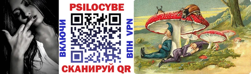 Псилоцибиновые грибы Psilocybe  kraken зеркало  Бугульма  как найти закладки 