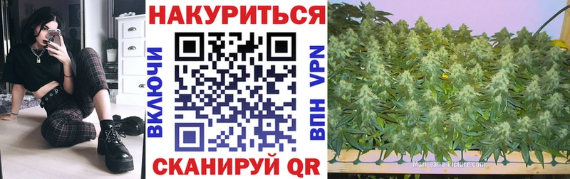 блэк спрут ссылки Бугульма Бошки Шишки SATIVA & INDICA